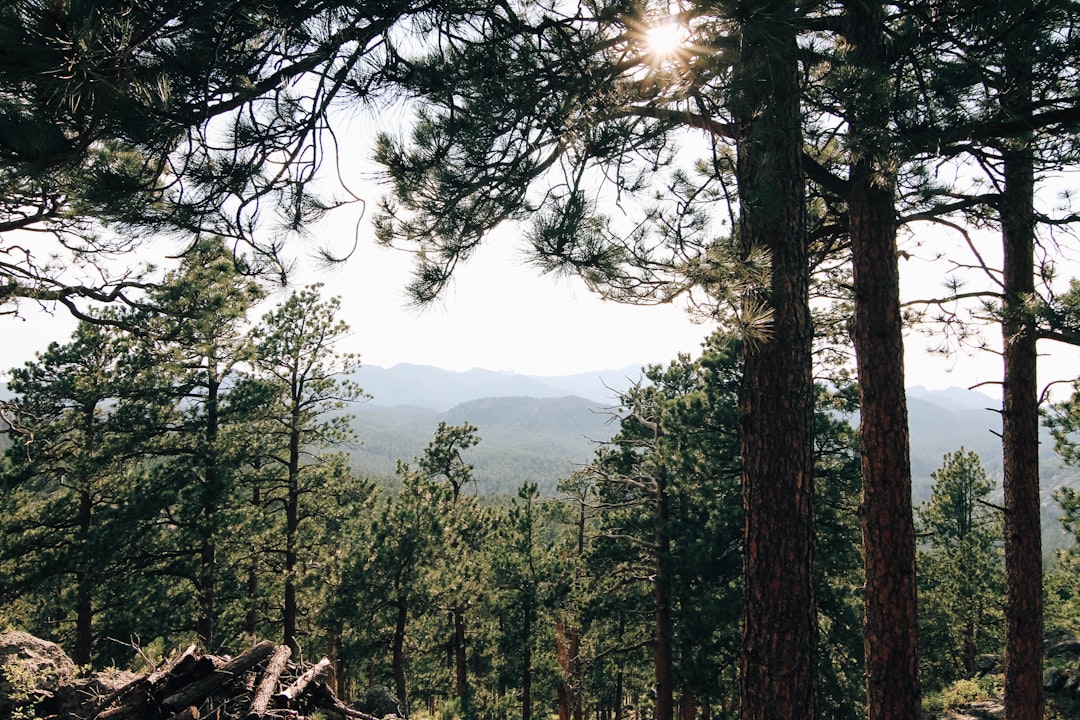 Embracing the Wild: Rediscovering the Beauty of Outdoor Travel Embracing the Wild: Rediscovering the Beauty of Outdoor Travel