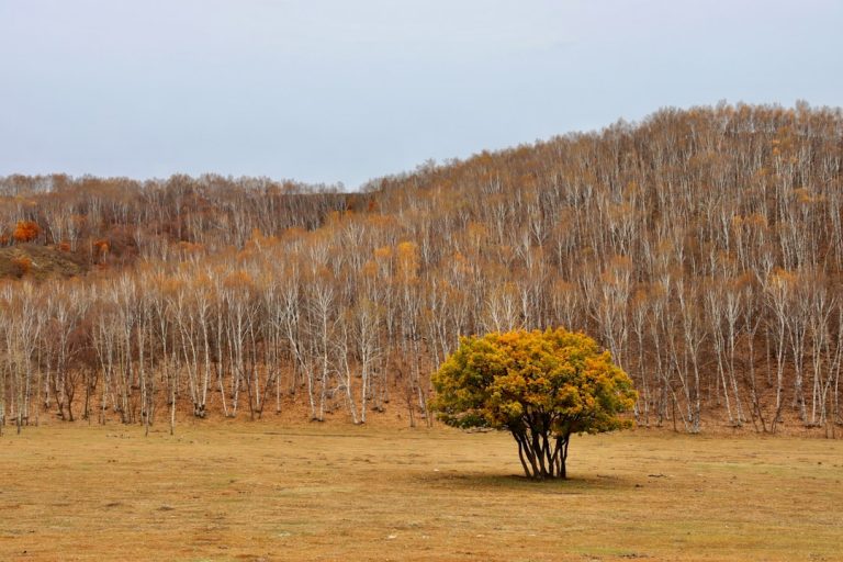 The Thrill of Outdoor Adventure: Embracing Nature’s Playground
